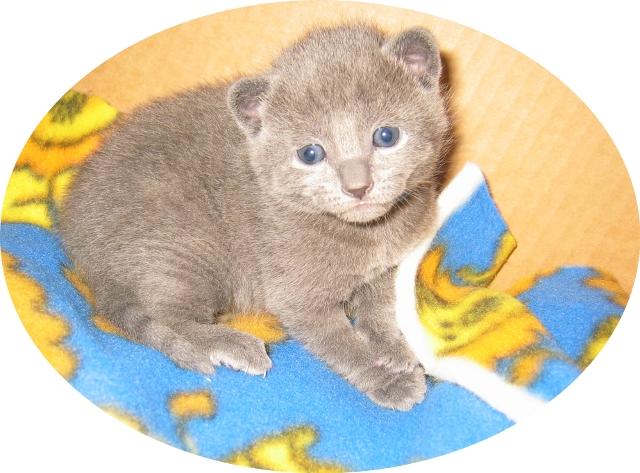 2,5 weeks_boy